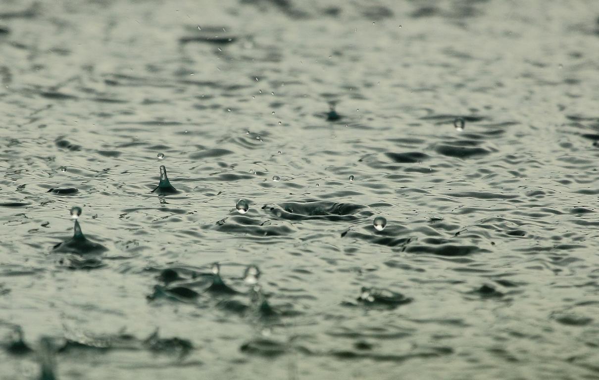 Der Schaffner lässt die Leute im Regen stehen